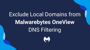 Create DNS Filtering site exclusions in OneView