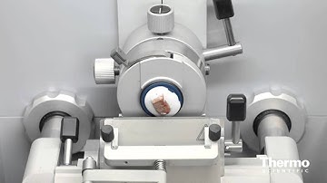 Expert Insight - Tyler Liebig - Cryosectioning Innovation