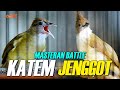 BATTLE CUCAK JENGGOT VS KAPAS TEMBAK SUPER MEWAH MATERINYA