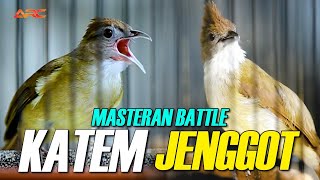 BATTLE CUCAK JENGGOT VS KAPAS TEMBAK SUPER MEWAH MATERINYA