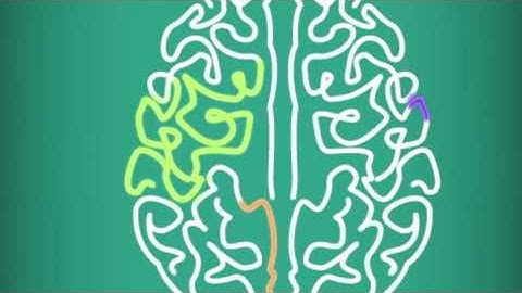 How the Brain Changes in Childhood and Adolescence