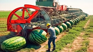 I watched this video 1000 times! These agricultural machines will leave farmers unemployed!