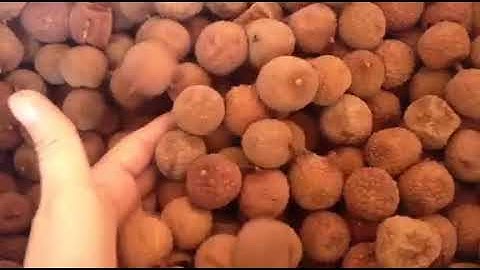 Quy trình phân loại, đóng gói vải sấy cơ sở bà Mai