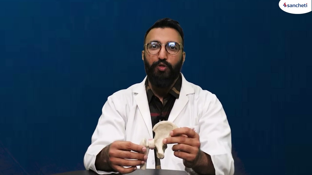 hip anatomy ss final
