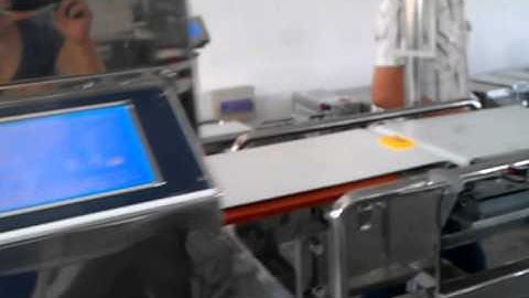 Combination of Metal Detector and Check Weigher