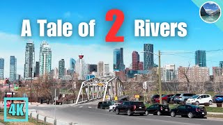 [4K] Calgary Walk🚶‍♂️Bow River to Elbow River 🇨🇦