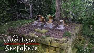 Sarpa Kavu | സർപ്പക്കാവ് || Lumion 4k Cinematic animation | The Walk #4 | Ajai Poovadan