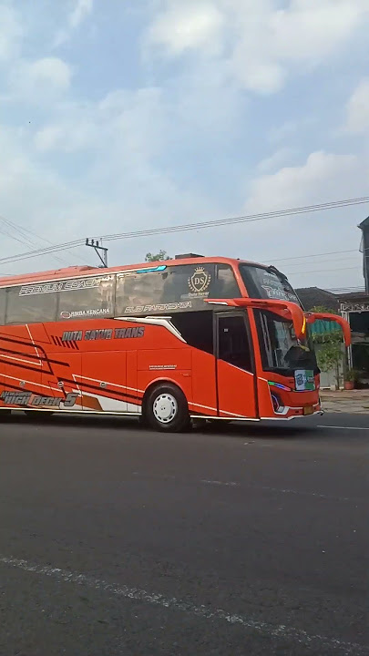 bus Tamaghoci dst 🔥 #fypシ゚viral #busmania #buspariwisata #fypp