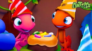 Birthday Cake! | 1 Hour of Antiks Full Episodes