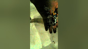 PP flakes sorting in Mexico sort white by Angelon plastic color sorter/ jasmine@ajlong.cn