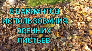 Листовая земля Листовой компост🍁Из опавших листьев! #листовойкомпост#листоваяземля#сад#огород