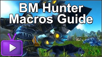 ► Mists of Pandaria - BM Hunter Macros Guide - 1 Shot Macro Included