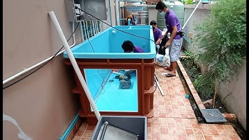 Paiboon สาย 3 - Overflow Full Services อ่าง 2.5 เมตร/กรองข้าง + 1.2 เมตร/กรองบน อุปกรณ์จัดเต็ม Set 2