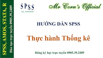 Thực hành Thống kê trong SPSS (Frequencies, Descriptives, Crosstabs, Tables, Multiple Response)