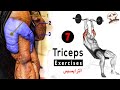 7 TRICEPS BEST WORKOUT Exercises to BUILD your TRICEPS