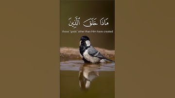 هذا خلق الله فأروني ماذا خلق الذين من دونه || سورة لقمان || القارئ: اسلام صبحي