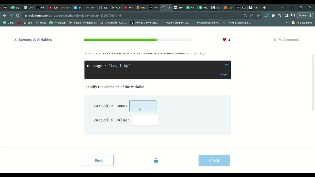 3 Memory & Variables | Python Developer | Sololearn - YouTube