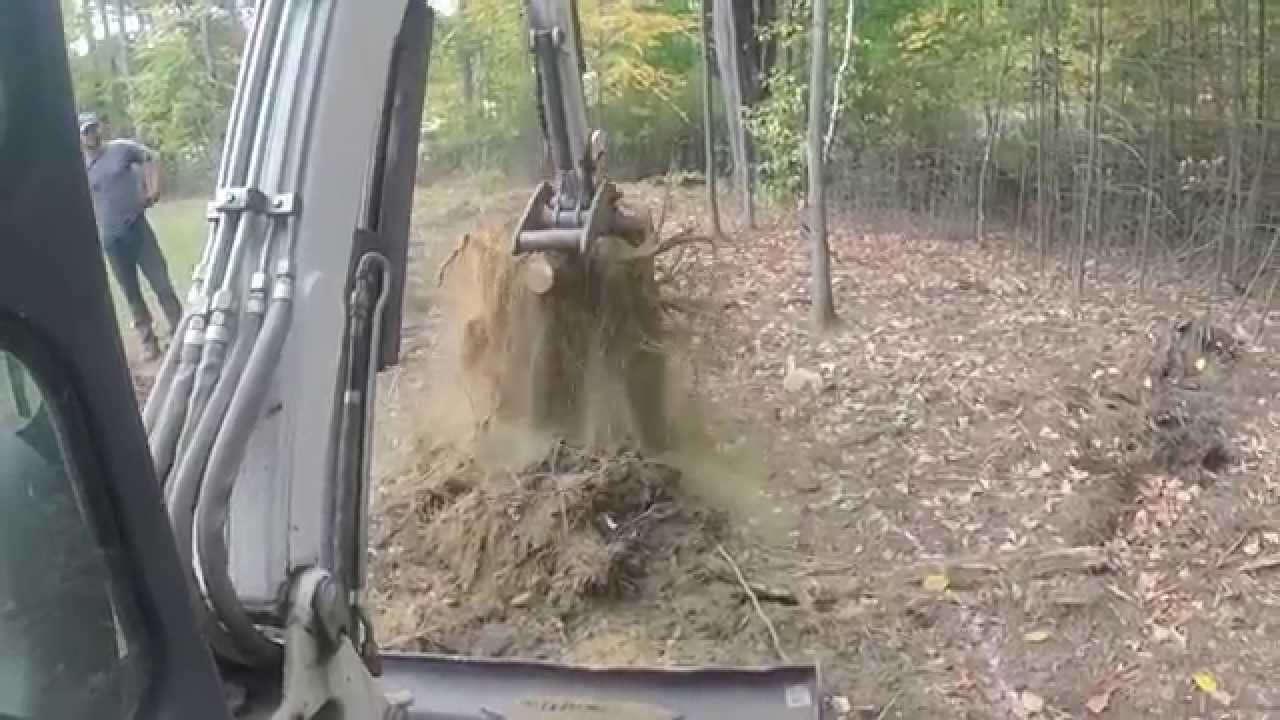 Mini Excavator Removing Small Stumps YouTube