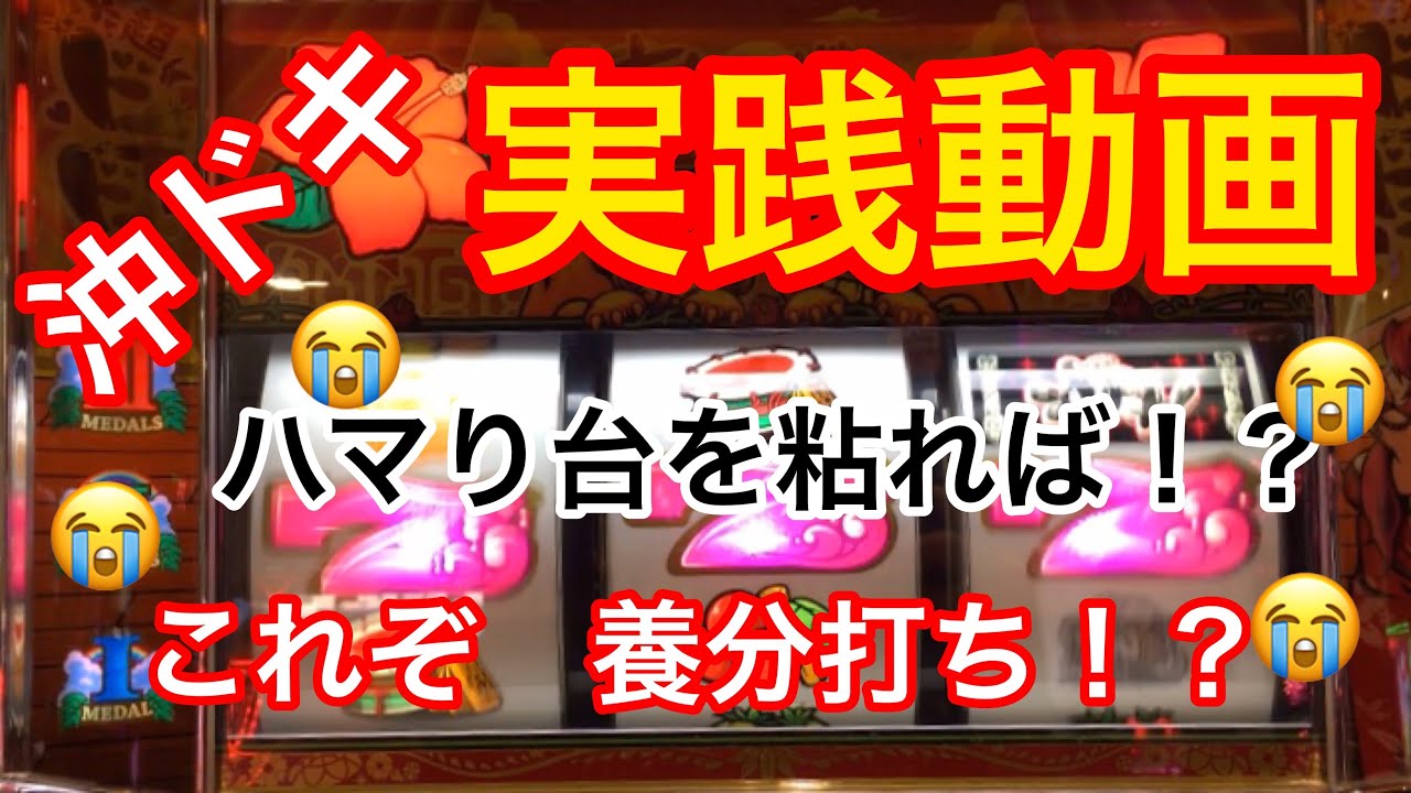 沖ドキのハイエナ実践データ 出回っている ...