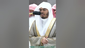 يوفون بالنذر ويخافون يوما كان شره مستطيرا ~ تلاوة خاشعة للشيخ ياسر الدوسري - التلاوة كاملة بالوصف