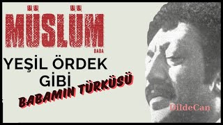 BABAMIN  TÜRKÜSÜ/DildeCan/yeşil ördek gibi/MÜSLÜM GÜRSES#şiir #TÜRKÜ#türküler sevdamız #can