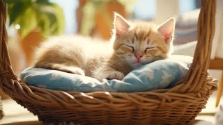 EXTREMELY Soothing Cat Therapy Music  Relax Your Cat! Cat Music  Music to Help Your Kitty Sleep