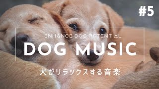 Relaxing Music for Dogs #5【Relieves Separation Anxiety, Sleep Disorders and Boredom】
