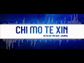 chi mo te xin  (with audio spectrum) - house music jadul