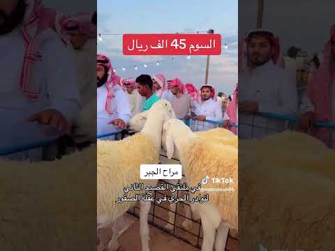 حلال عيسى الجبر اكسبلور أغنام الامارات الرياض القصيم ملتقى