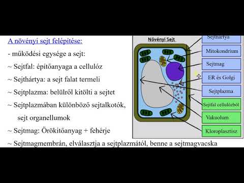 Videó: Melyek A Növényi Sejt Szerkezeti Jellemzői