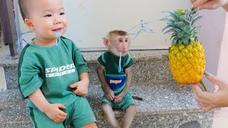 Monkey Pupu and baby Nguyen drink delicious Pineapple juice together