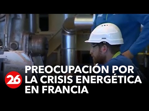 FRANCIA: preocupación por