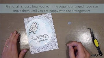 Unity Stamp Co Quick Tip -  Adding Sequins to Cards