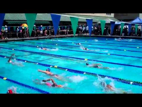 TCA Swim Meet