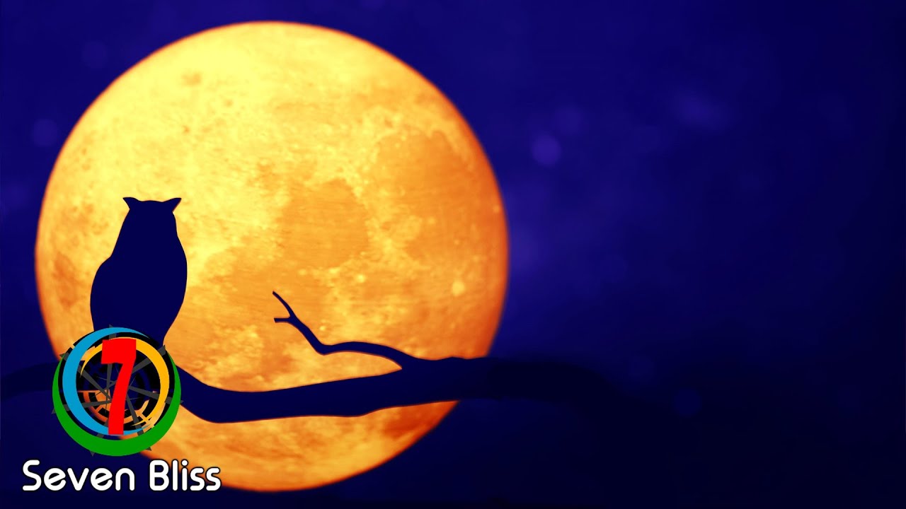 TheJohnsArts - Song of the Owls (Extended Mix)