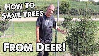 How to Save Trees from Deer [Best Method I have Found] by Woodward Acres 218 views 1 year ago 10 minutes, 56 seconds