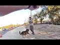 Volusia County Deputies Use K9 to Capture Armed Fugitive After Wild Pursuit