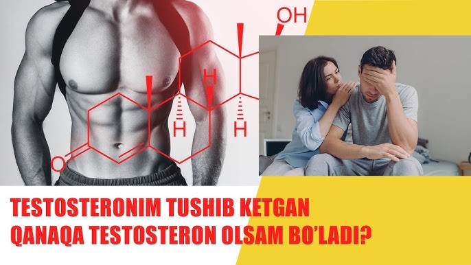 Mushuk ichida mobil telefon