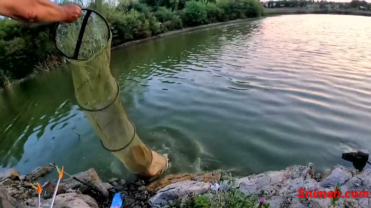 За сефте на Храбърско