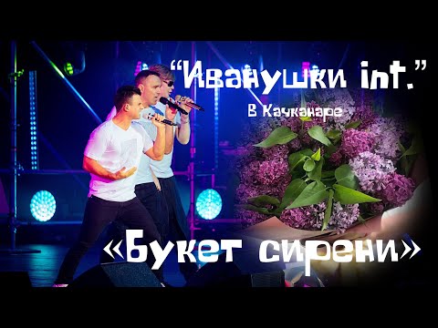 Букет сирени. Иванушки