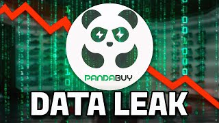 Pandabuy Had A CRAZY Dataleak... (The Truth Behind It)