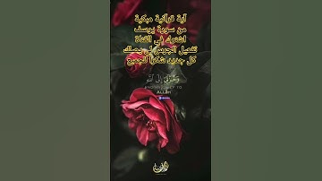 #تلاوة خاشعة #آية من سورة يوسف #القرآن_الكريم #اكسبلور #تلاوة #تلاوة_خاشعة