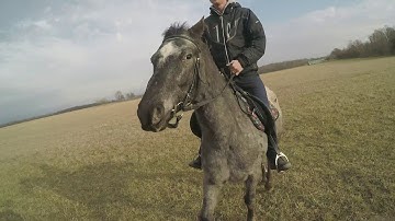 Pred Štefanskou jazdou 28.12.2018