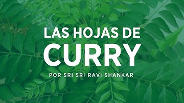 Beneficio de las hojas de curry |#TipSaludable por Sri Sri  Gurudev Sri Sri Ravi Shankar En Español