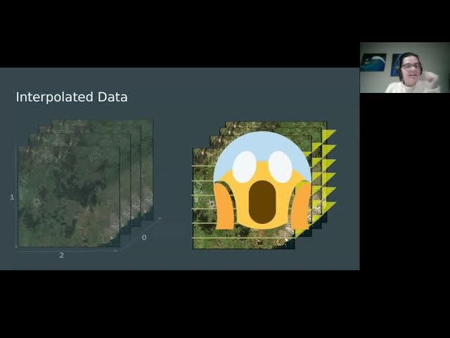 Image from Big data, low effort: out-of-core visualization with the napari image viewer