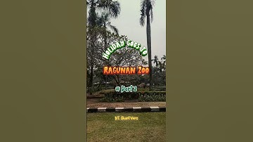 Mini Vlog goes to Ragunan Zoo Part2...Part1 ada di video ya guys 🤩🫴✨ #minivlogshorts #ragunanzoo