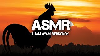 1 Jam Suara Ayam Berkokok