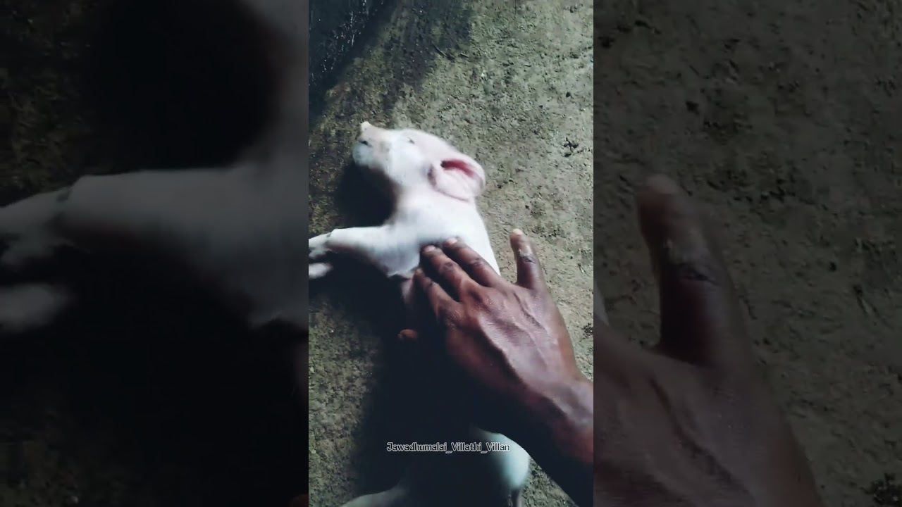 Troll Face Meme 😂 | Part-18 | 