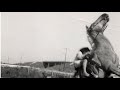 Deloyd Elze - A Horse Named Proletariat