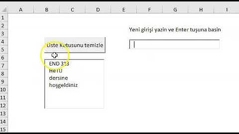 20 Label, Textbox, Listbox